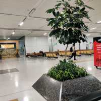 Terminal 3 IGI Airport 