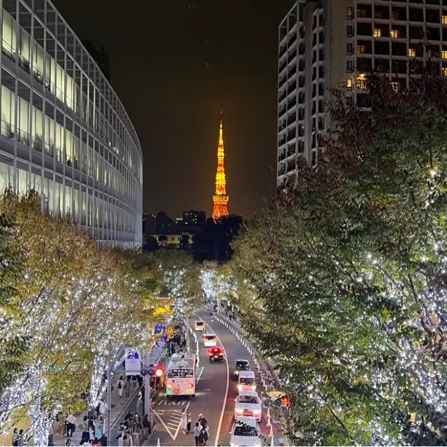 六本木の夜景