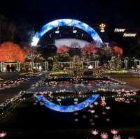 東京七天六夜自由行:輕井澤，足利花卉公園，鎌倉，東京鐵塔，淺草寺