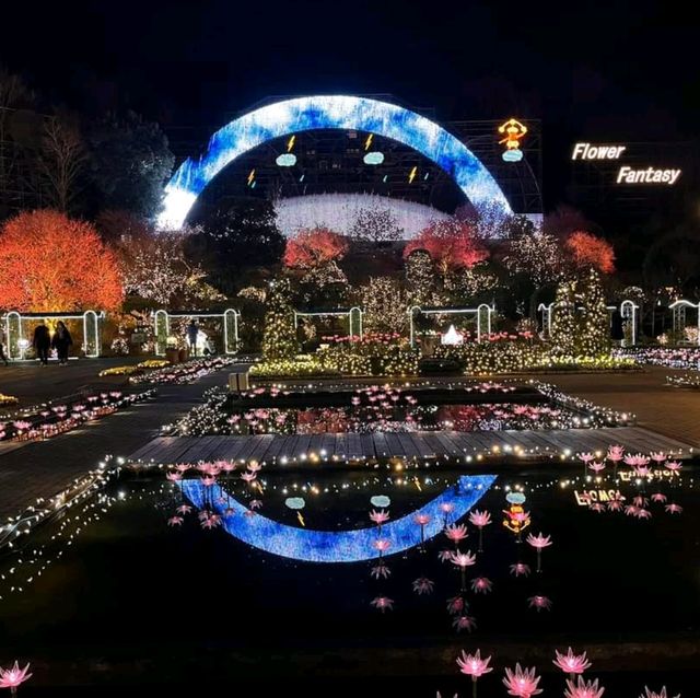 東京七天六夜自由行:輕井澤，足利花卉公園，鎌倉，東京鐵塔，淺草寺