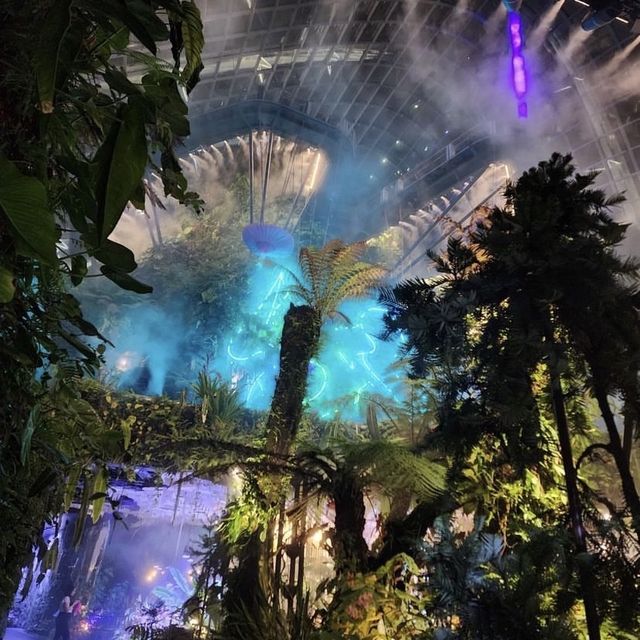 Clound Forest At Garden By the Bay