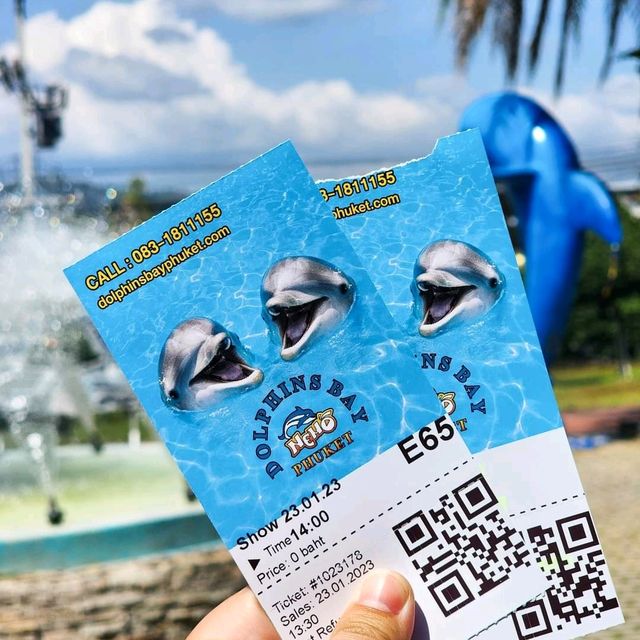 ดูแมวน้ำ 🦭 เล่นกับโลมา 🐬
Dolphins Bay Phuket