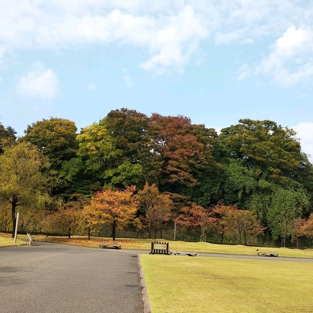 金澤21世紀美術館、兼六園