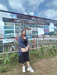 Starwberry Farm