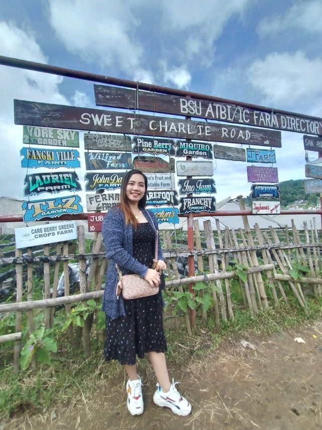 Starwberry Farm