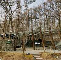 Stone Church inside a forest 
