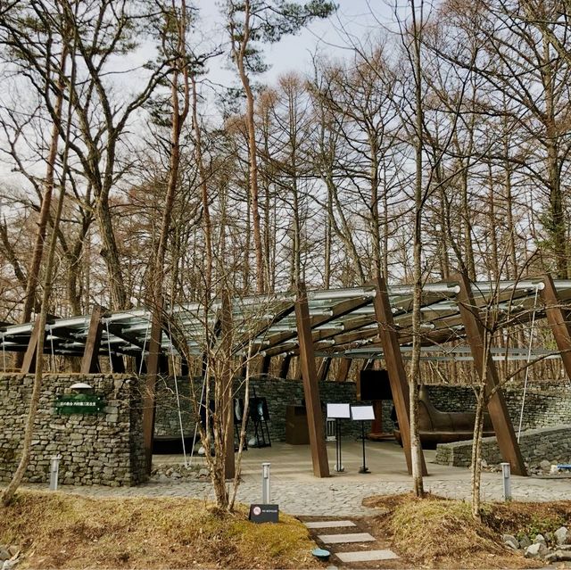 Stone Church inside a forest 
