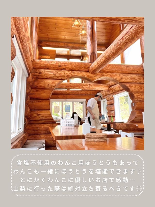 【山梨】愛犬と行ける海鮮ほうとう🦐