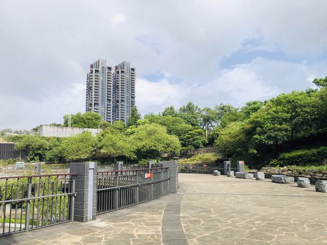 台北｜🐸🌳拍照好去處📍 Daan Forest Park 大安森林公園