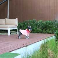 รีวิว Te Ma Ta Glamping เขาใหญ่