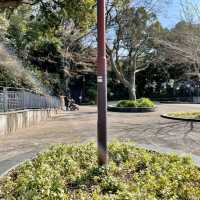 【神奈川】横浜🌼港の見える丘公園
