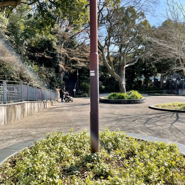 【神奈川】横浜🌼港の見える丘公園