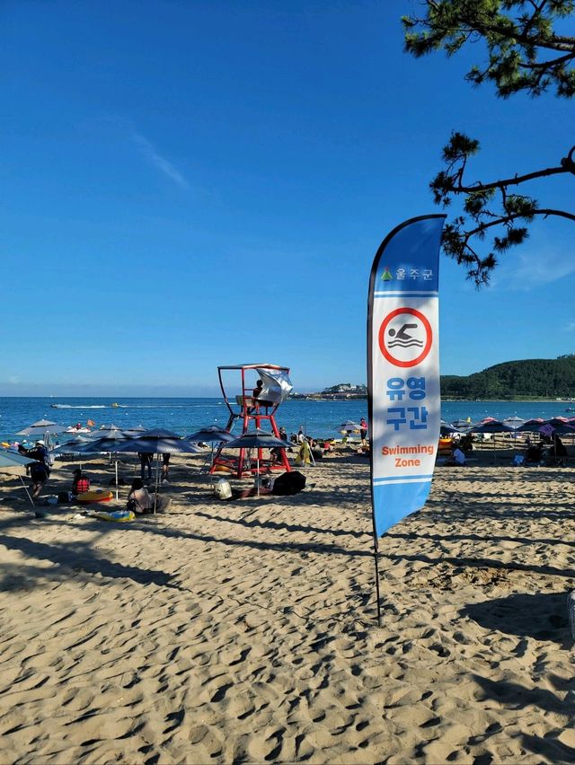 여름핫플! 울산 진하해수욕장🏖