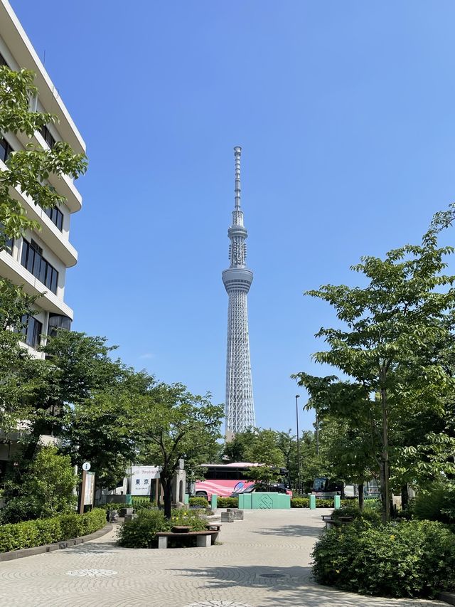 日本東京晴空塔
