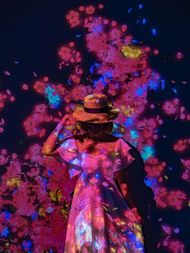 ยก Teamlab มาไว้ที่สิงคโปร์ Art Science Museum