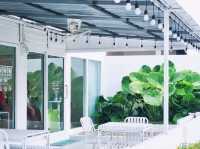 🌿คาเฟ่น่าร๊ากก ไม่บอกต่อไม่ได้แล้วว..