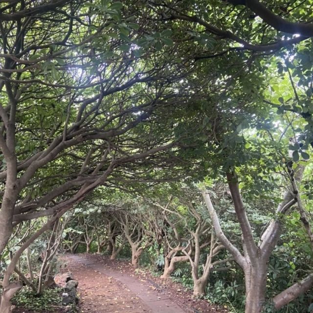 제주 산착하기 좋은 무지개 해안도로와 도두봉 키세스존 💛