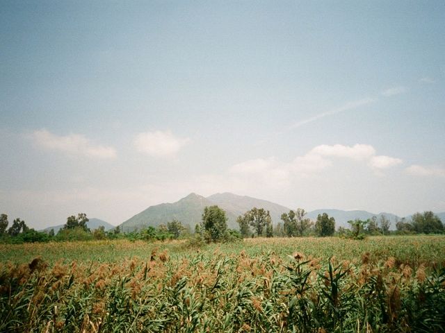 南生圍一日遊