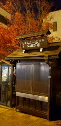 View Of Hida old town 