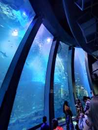 橫濱八景島海島樂園,好玩一天遊