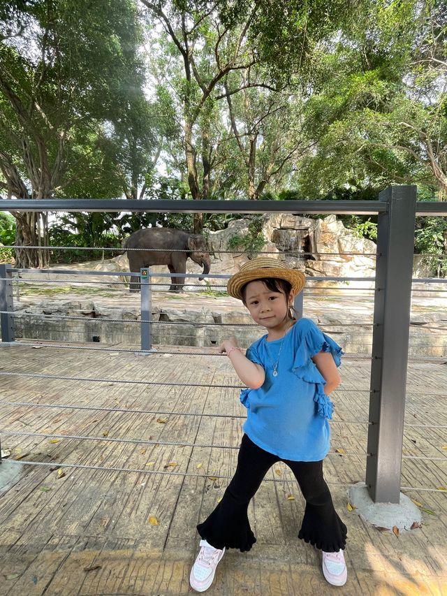 🇨🇳深圳｜親子遊x 深圳野生動物園🌟