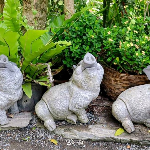 The Three Little Pigs คาเฟ่นครปฐม 
บรรยากาศในสวน ร่มรื่นมาก ๆ 🐷🐷🐷

