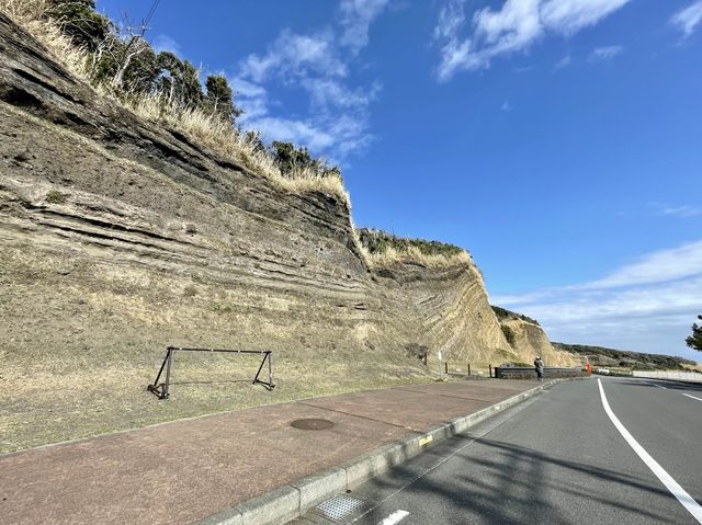 伊豆大島のバームクーヘン