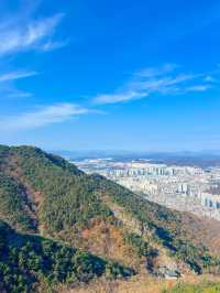 대구 시내를 한눈에 구경할 수 있는 곳🏞️