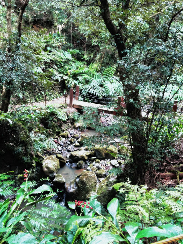 【絶景】滝を裏側から見られる珍しいスポット🐉