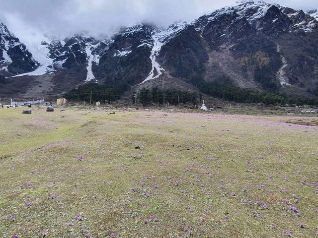 Zero Point & Yumthang Valley