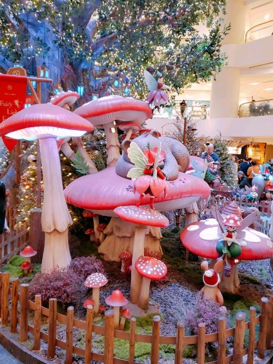 🎄太古廣場🎄奇幻森林