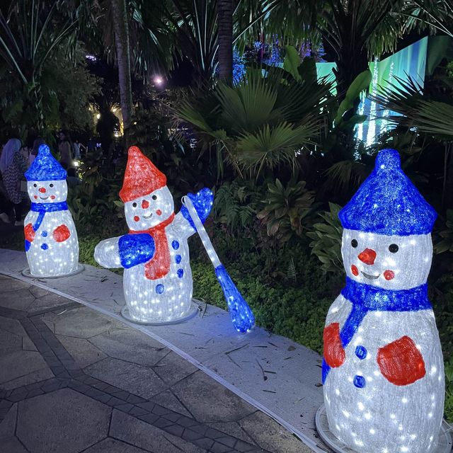 Light Displays at the Christmas Wonderland