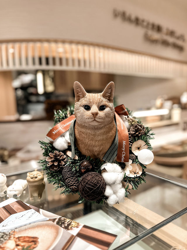 𓋚 元朗Yoho新店！必試壽司塔可