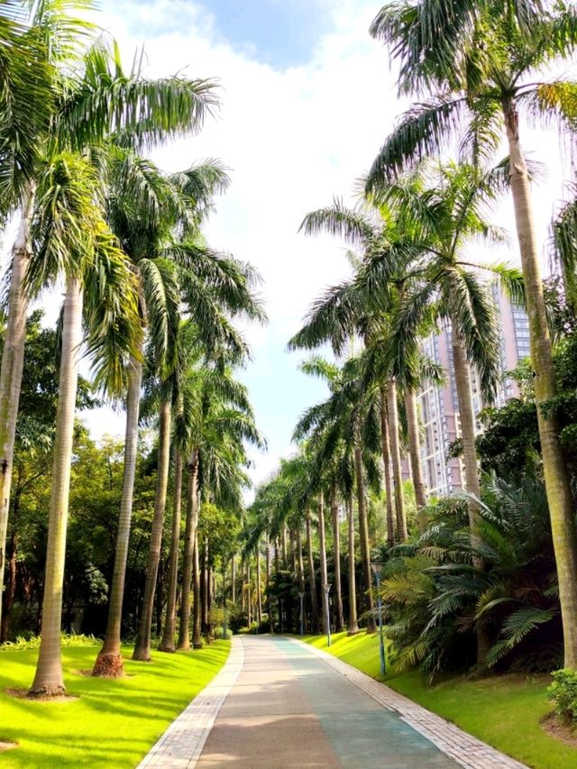 來這裏，假裝在奈良！