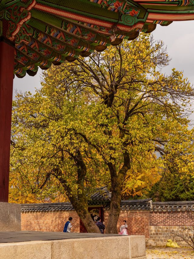 首爾好去處| 踏入歷史的寶座——景福宮