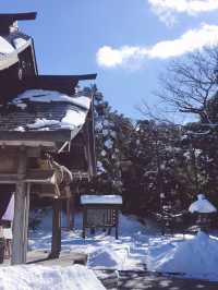 🇯🇵日本鳥取白兔神社🐰👣來到鳥取必去的可愛神社⛩️
