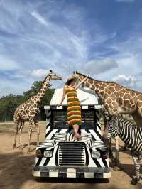 泰國北碧府野生動物園，長頸鹿合照圓夢