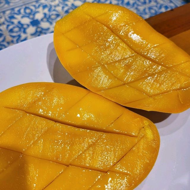 베트남 오션뷰가 너무 멋있는 레스토랑, 포시즌스 레스토랑 🏖