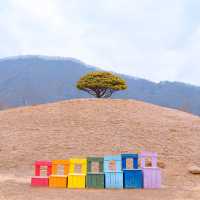 겨울 경치의 진수 자라섬