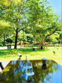 【高輪】鮮緑が気持ちいい🌿‬ゆっくり落ち着いて過ごせるホテルラウンジ☕️光明