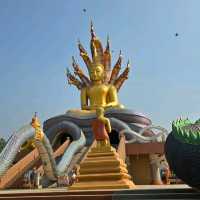 วัดพลอยสังวรนิรันดร์