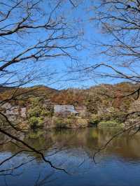 龍安寺の境内の鏡容池(おしどり池)の、水分石(みくまり石)の上には、２羽の鳥が仲良く並んでいた