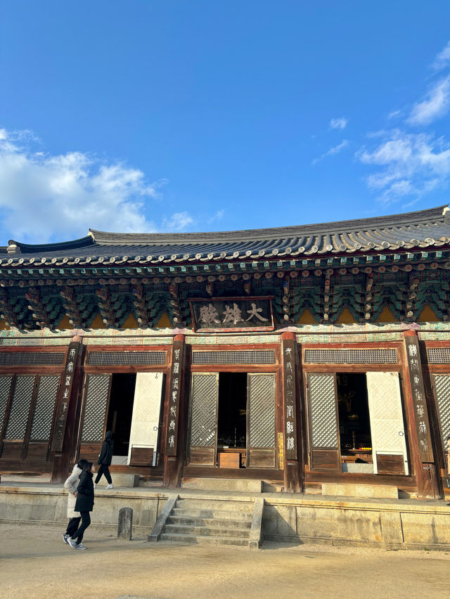 봄에는 고즈넉함을 느끼러 구례 화엄사로🩵