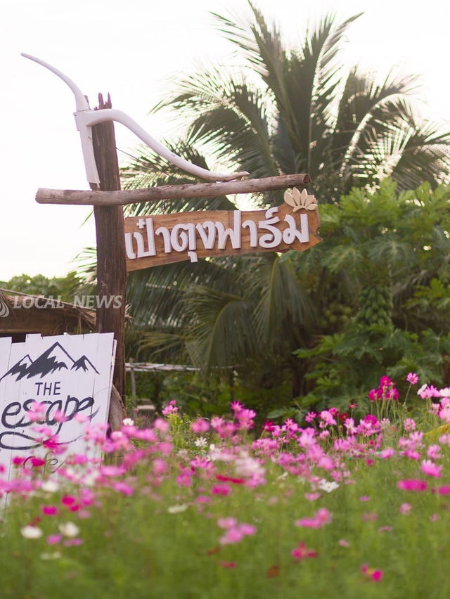 เป๋าตุงฟาร์ม 