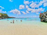 Waimea Bay Beach Park