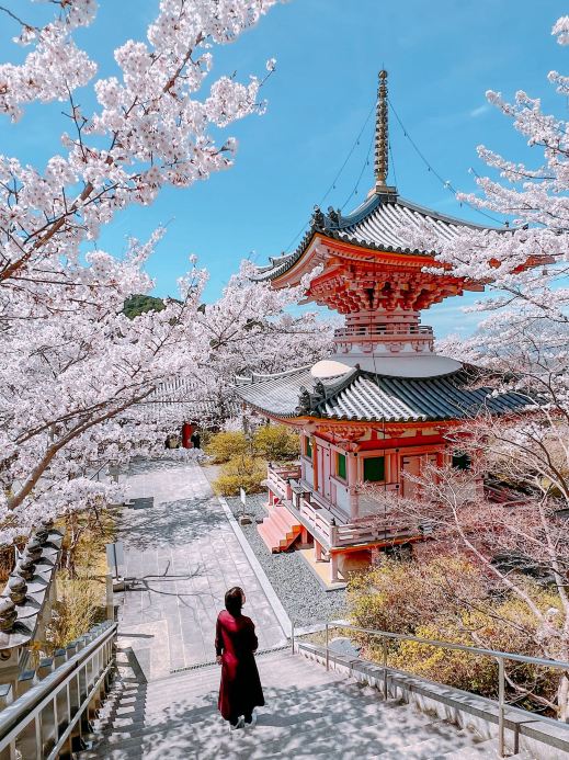 奈良】桜大仏は必見！ | Trip.com 高市郡