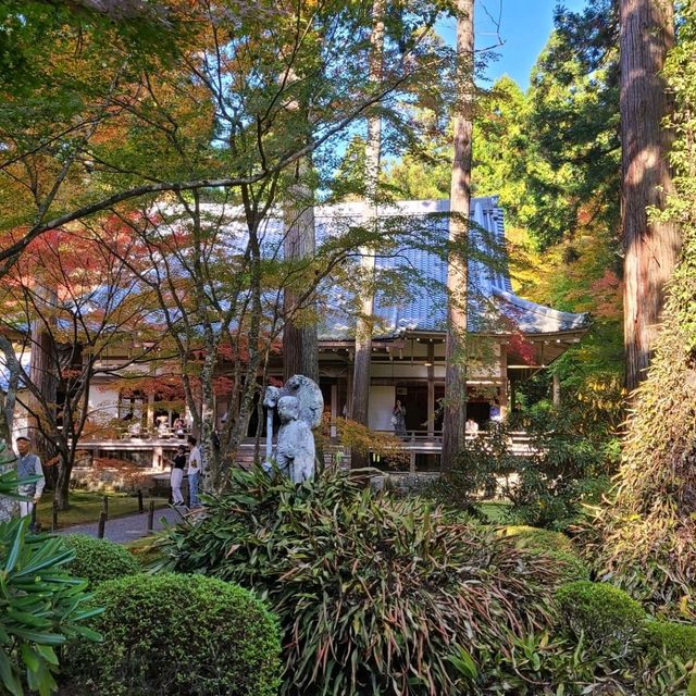 歴史ある門跡寺院⭐大原三千院⭐