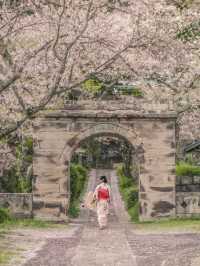 石門へと続く🌸桜のトンネル🌸