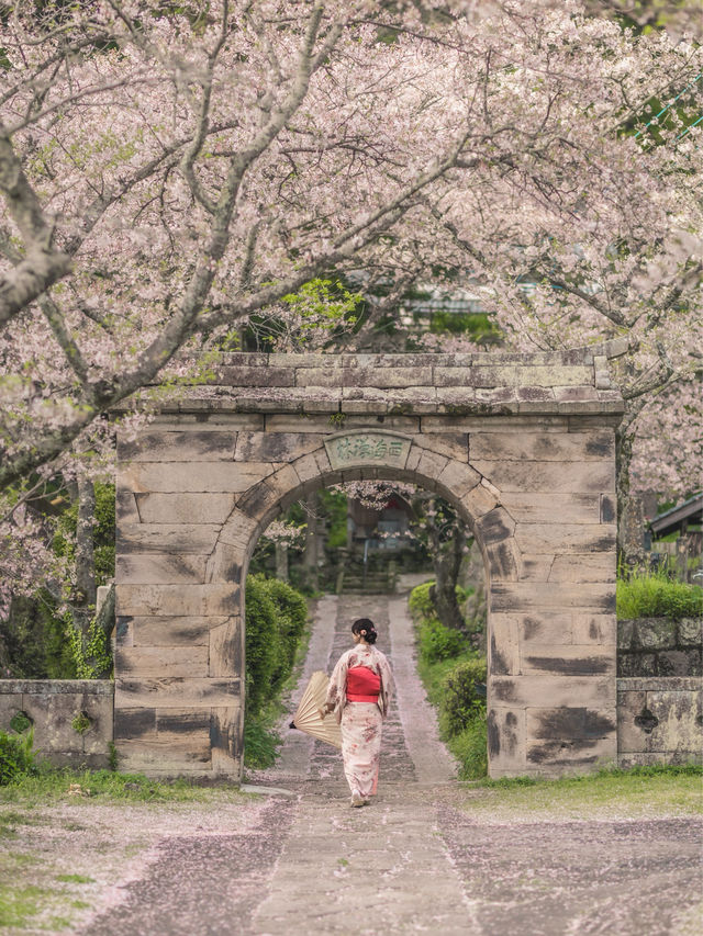 石門へと続く🌸桜のトンネル🌸