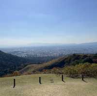 【世界遺産】春日山原始林　〜春日山遊歩道